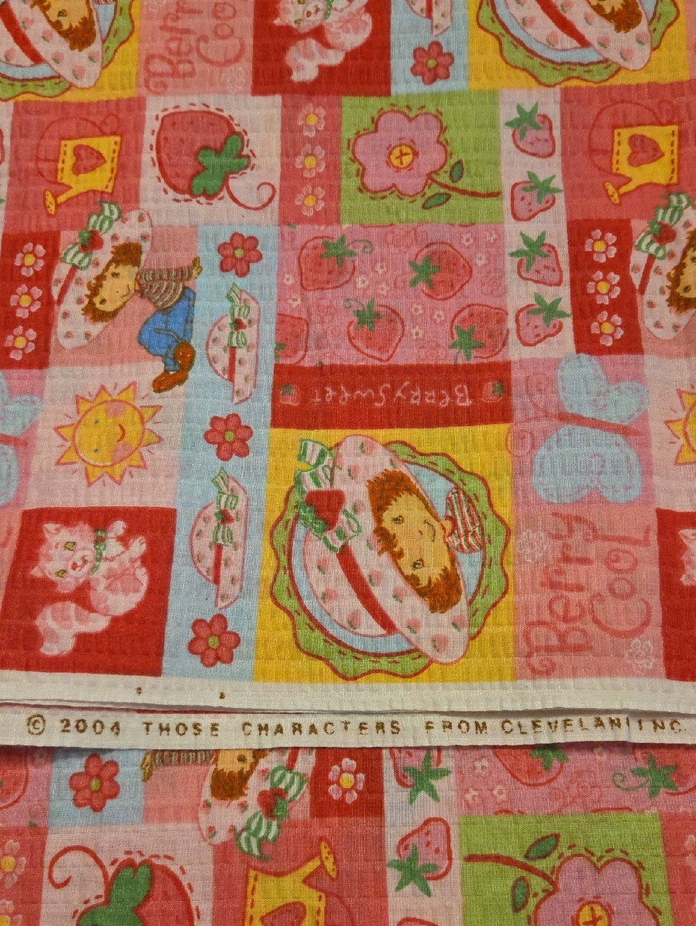 2004 Strawberry Shortcake Beautiful Textured COTTON Fabric 3 Yards 45W